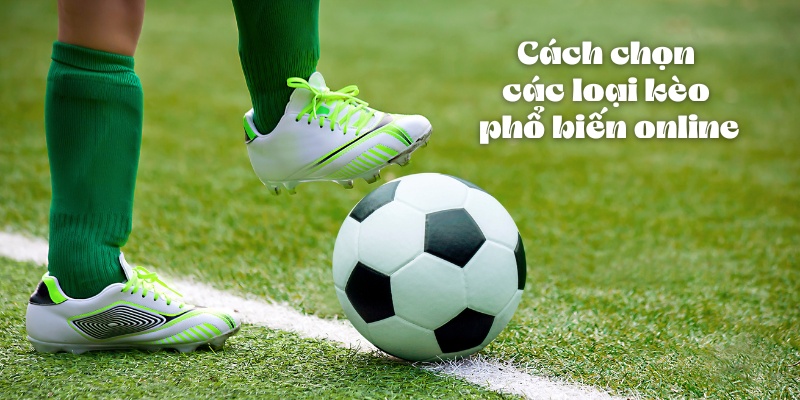 Các Loại Kèo Phổ Biến Online Trong Cá Cược Thể Thao 4 Cách chọn các loại kèo phổ biến online