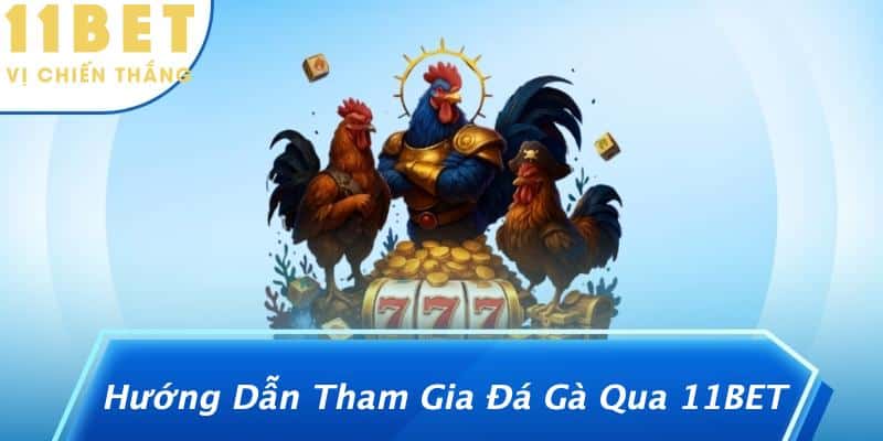 Hướng Dẫn Tham Gia Đá Gà Qua 11BET